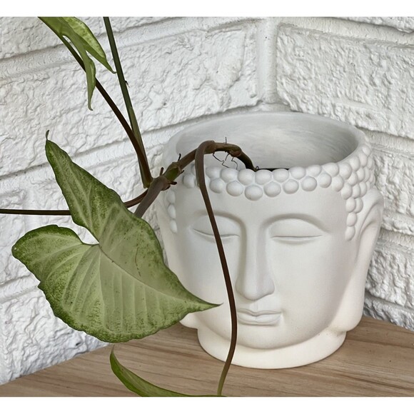 Buddha Head Concrete Face Planter Flower Pot White Hobnail Textured Figural
